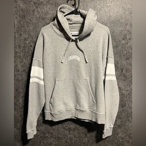 Champion Gray Hoodie
